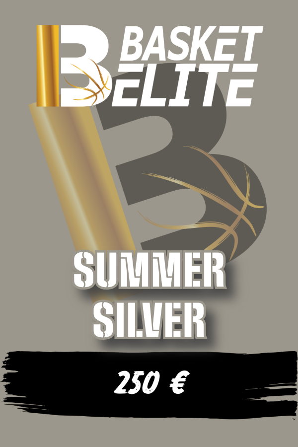 SUMMER SILVER